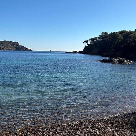 Lavande Centre Ancien Port Plages By Laconciergerie13 La Ciotat Eksteriør billede